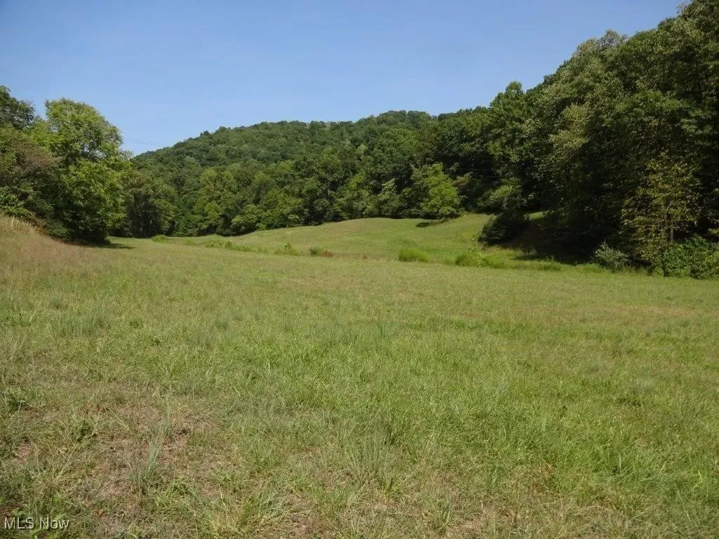 Blown Timber, Newton, West Virginia,MLS Now Listing ID