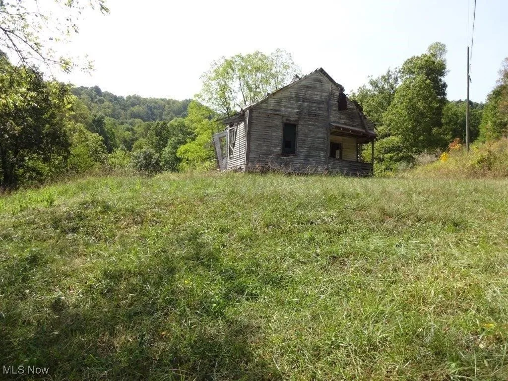 Blown Timber, Newton, West Virginia,MLS Now Listing ID