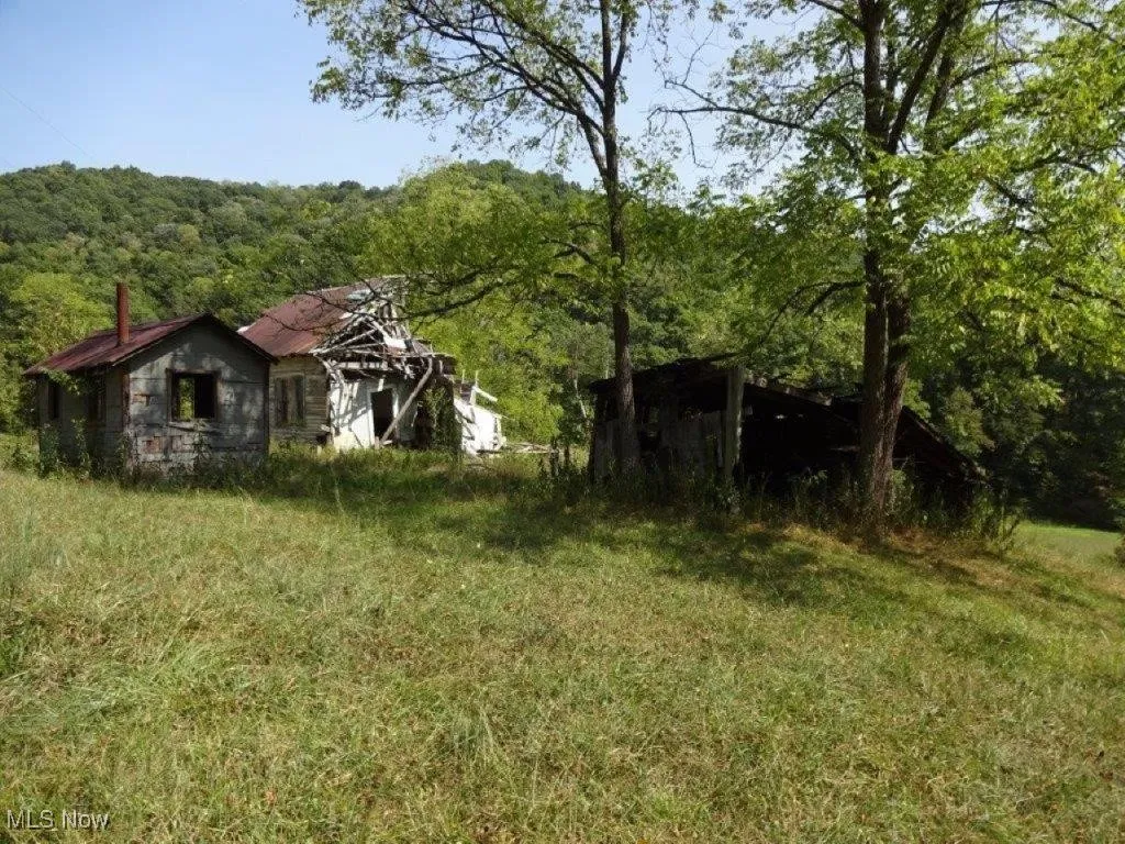 Blown Timber, Newton, West Virginia,MLS Now Listing ID