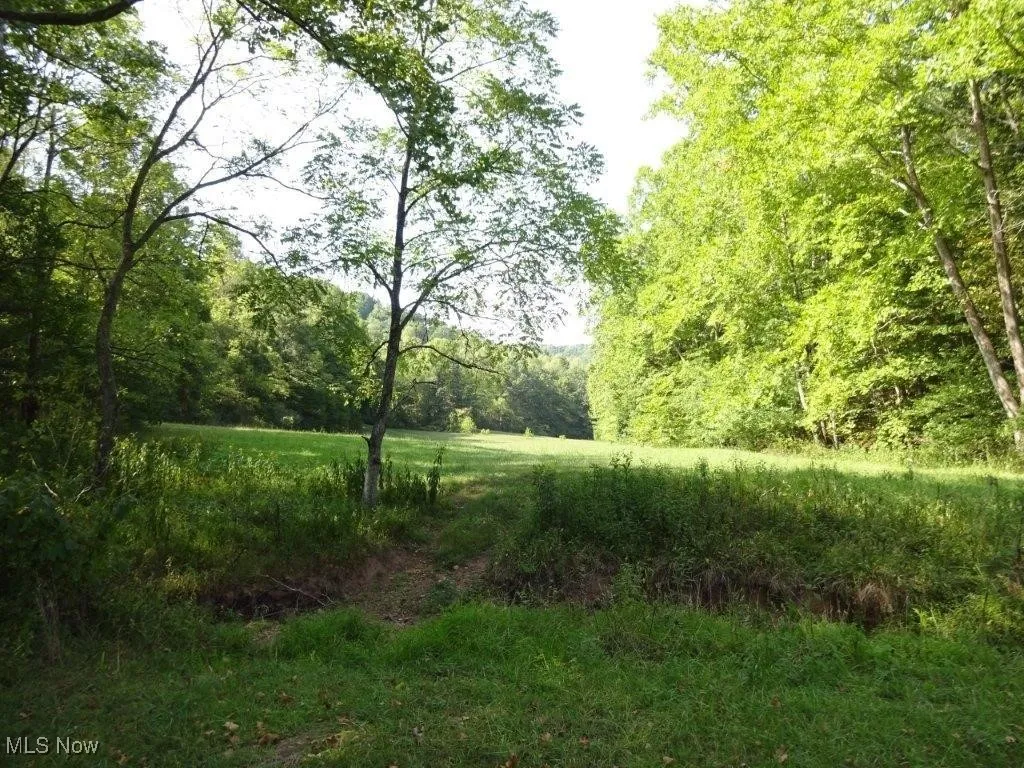 Blown Timber, Newton, West Virginia,MLS Now Listing ID