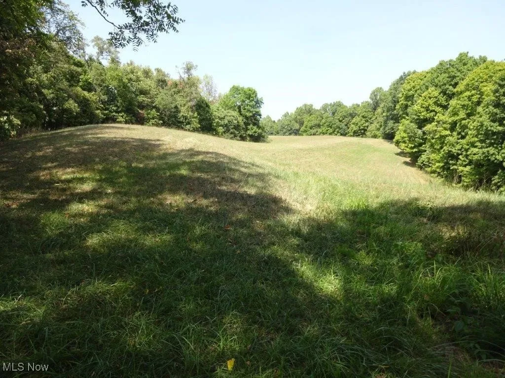 Blown Timber, Newton, West Virginia,MLS Now Listing ID