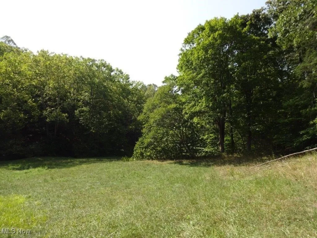 Blown Timber, Newton, West Virginia,MLS Now Listing ID