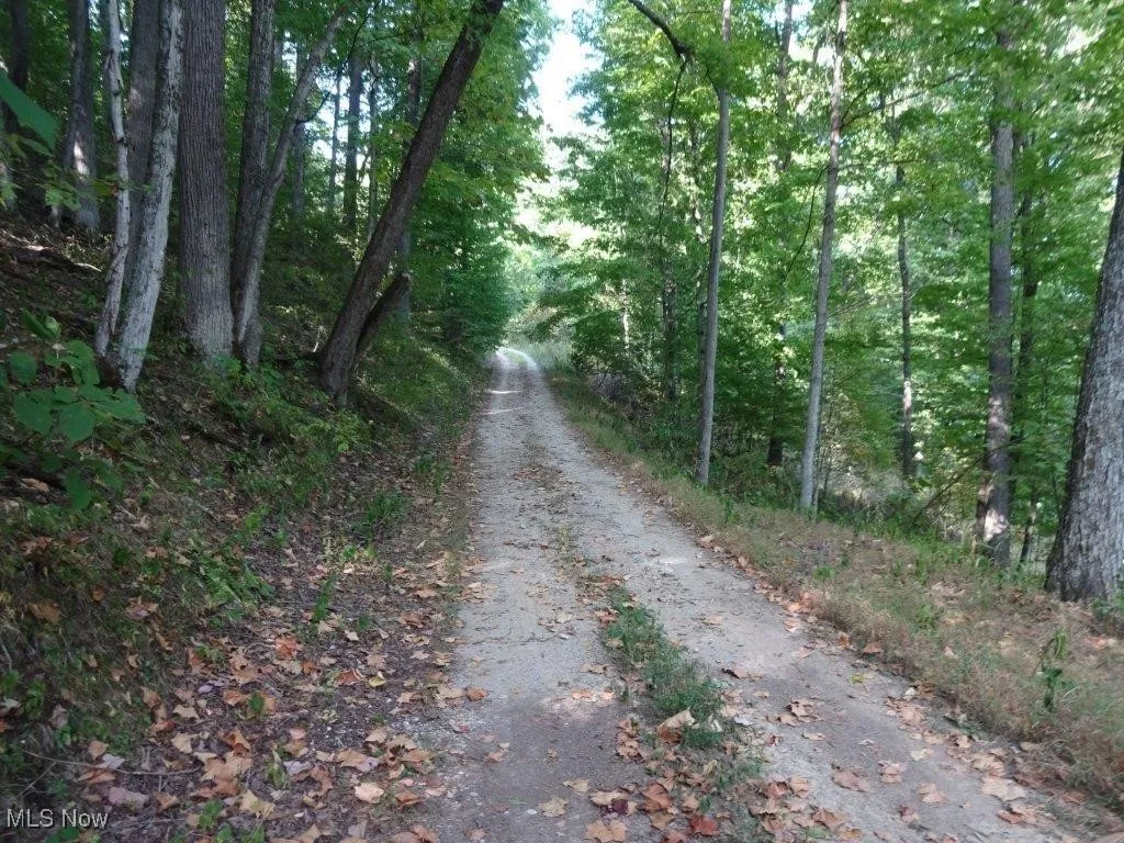 Blown Timber, Newton, West Virginia,MLS Now Listing ID