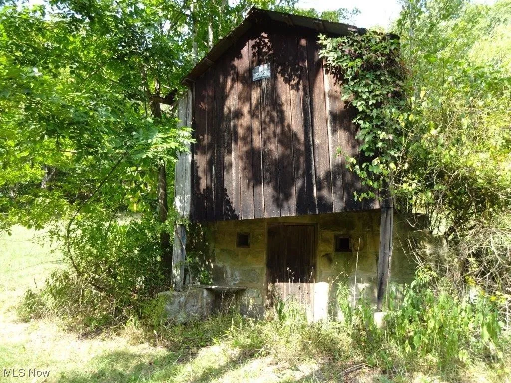 Blown Timber, Newton, West Virginia,MLS Now Listing ID