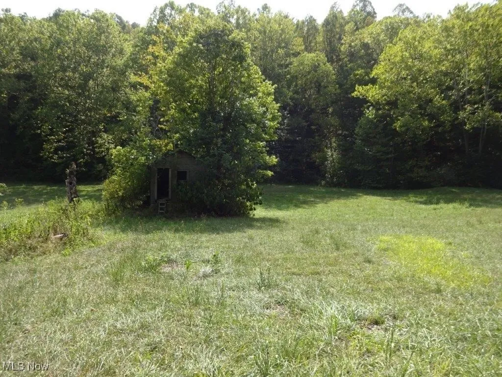 Blown Timber, Newton, West Virginia,MLS Now Listing ID