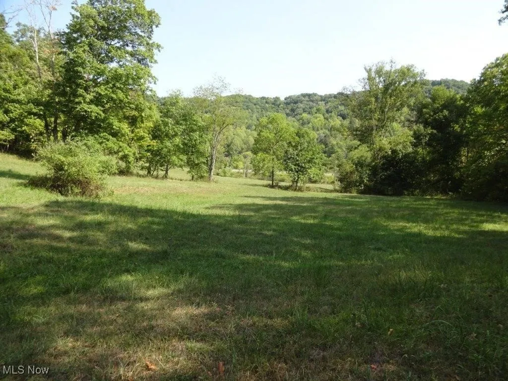 Blown Timber, Newton, West Virginia,MLS Now Listing ID