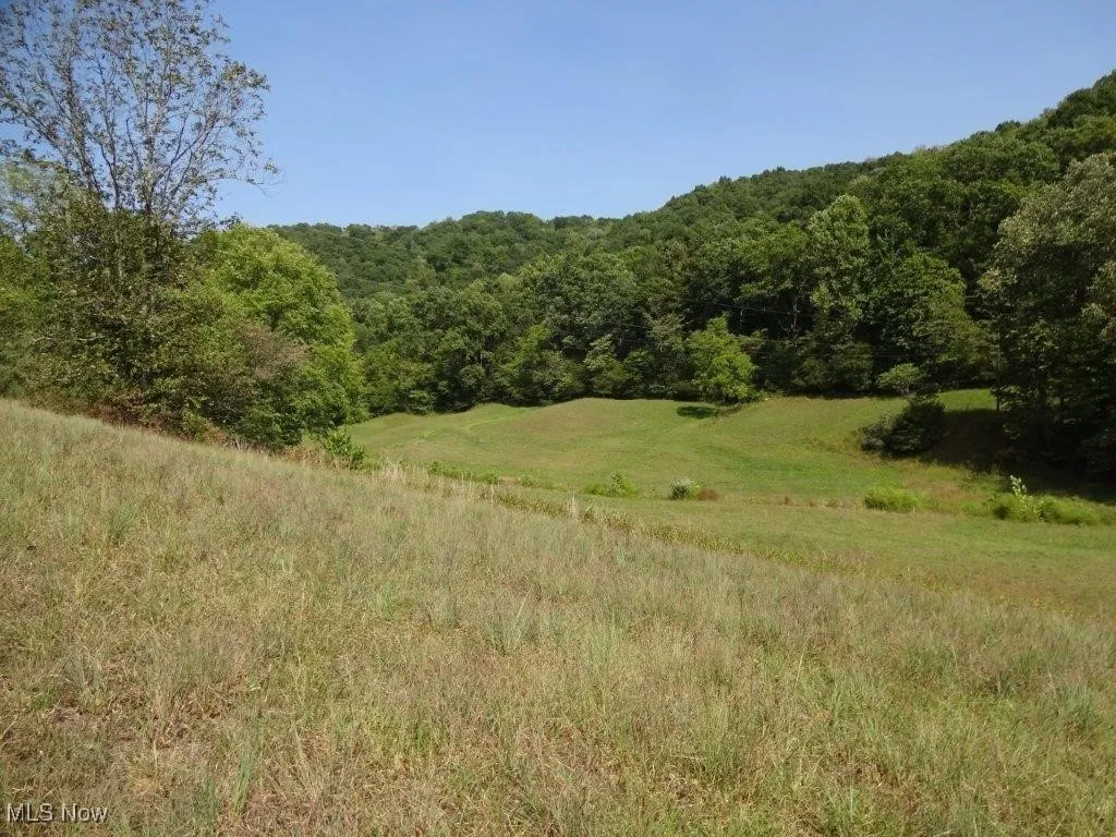 Blown Timber, Newton, West Virginia,MLS Now Listing ID