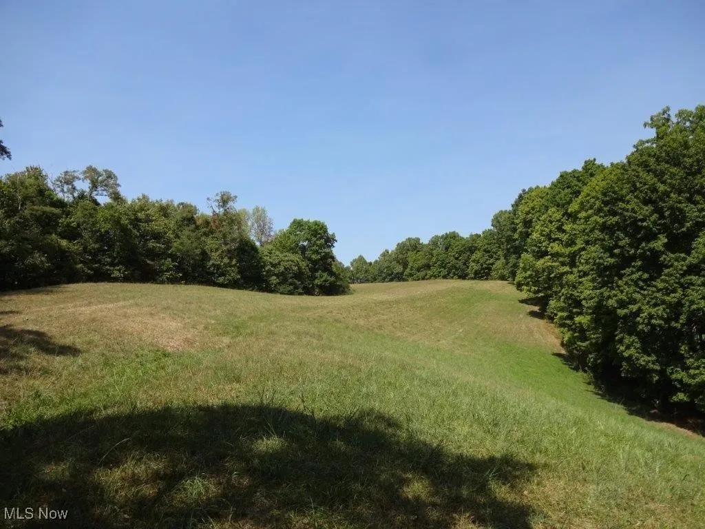 Blown Timber, Newton, West Virginia,MLS Now Listing ID