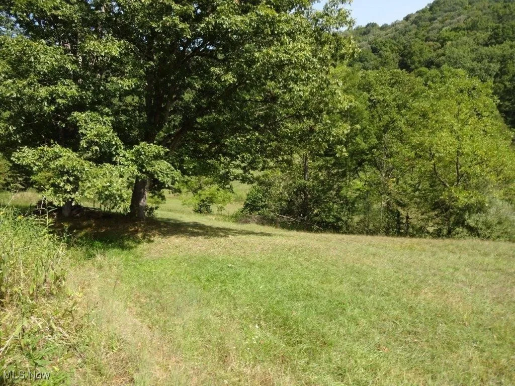 Blown Timber, Newton, West Virginia,MLS Now Listing ID