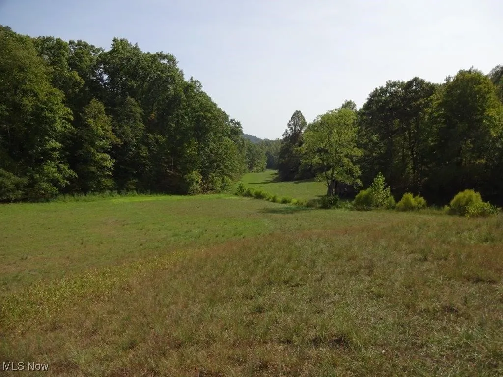 Blown Timber, Newton, West Virginia,MLS Now Listing ID
