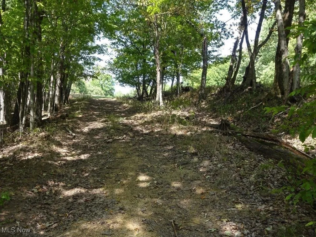 Blown Timber, Newton, West Virginia,MLS Now Listing ID