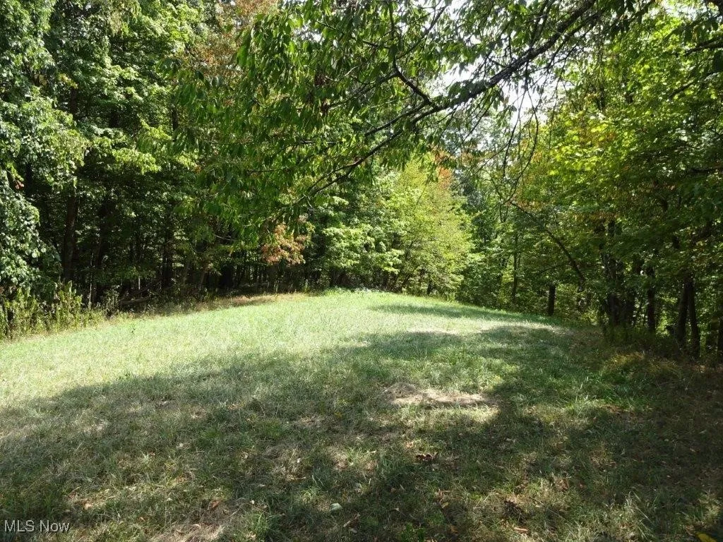 Blown Timber, Newton, West Virginia,MLS Now Listing ID