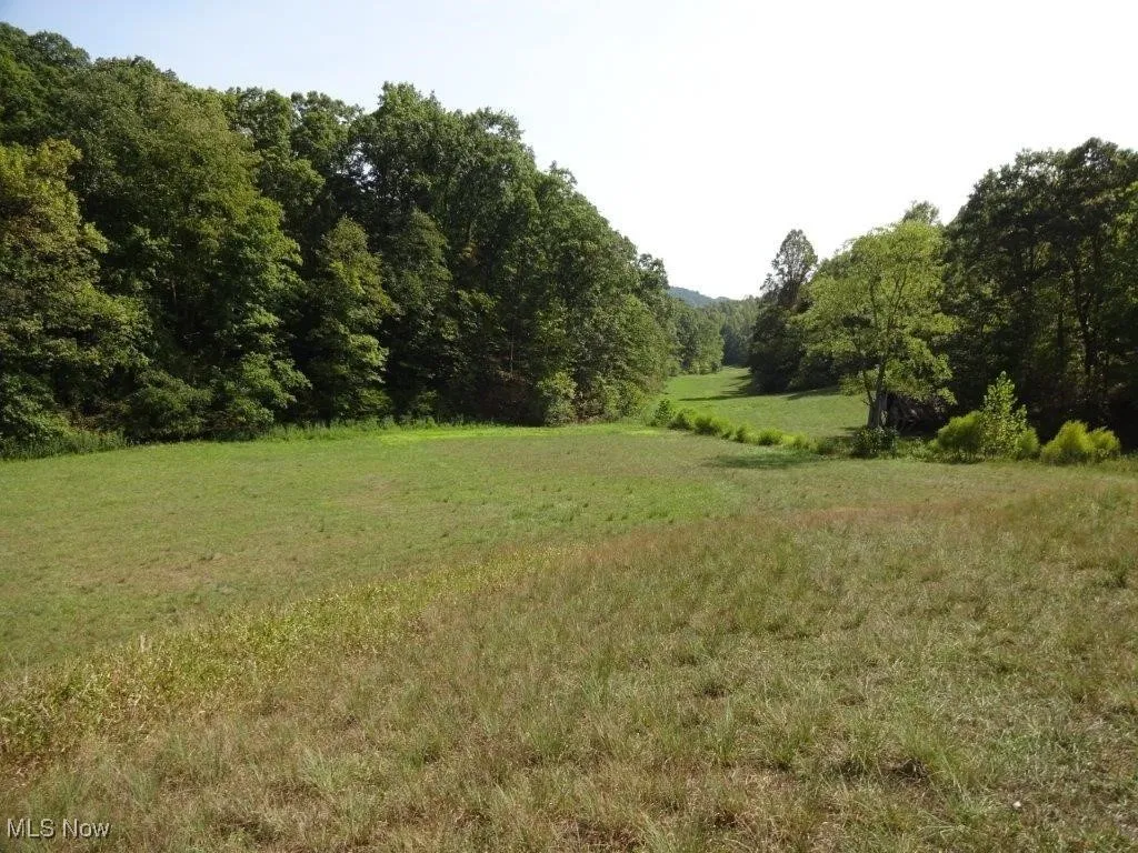 Blown Timber, Newton, West Virginia,MLS Now Listing ID