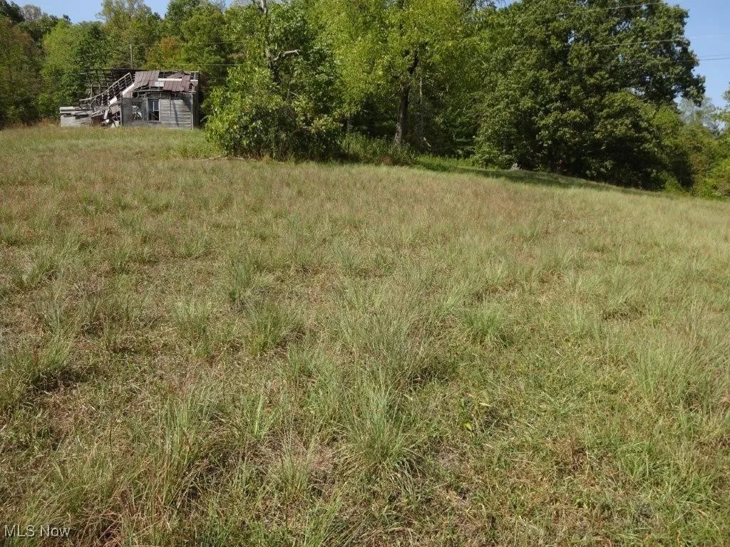 Blown Timber, Newton, West Virginia,MLS Now Listing ID