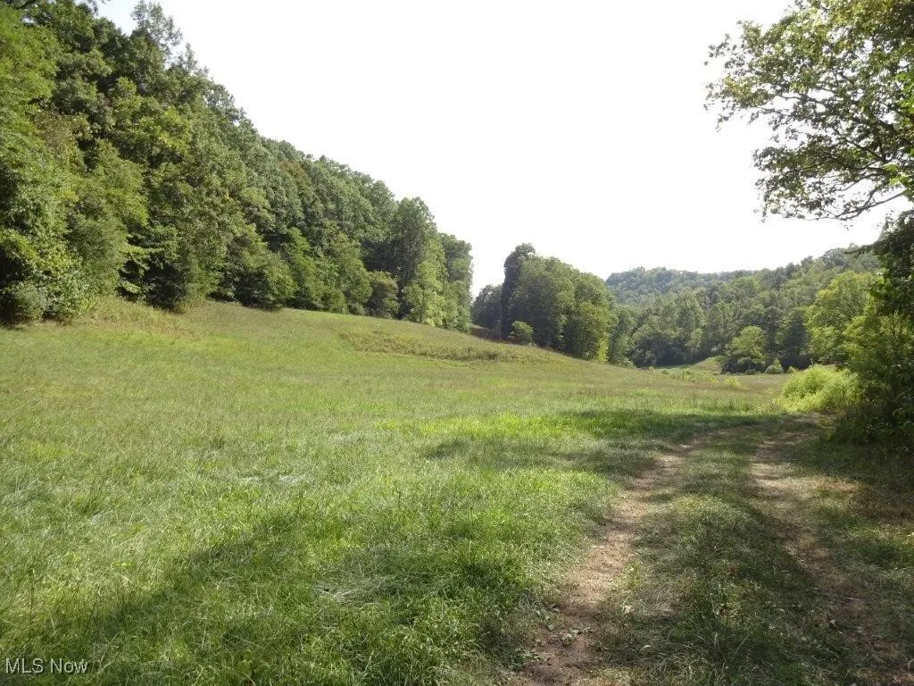 Blown Timber, Newton, West Virginia,MLS Now Listing ID