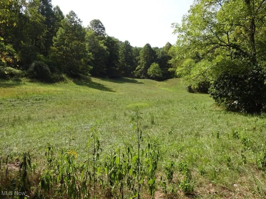 Blown Timber, Newton, West Virginia,MLS Now Listing ID
