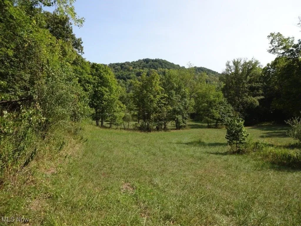 Blown Timber, Newton, West Virginia,MLS Now Listing ID