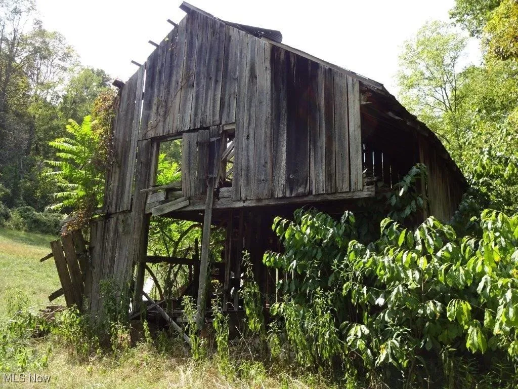 Blown Timber, Newton, West Virginia,MLS Now Listing ID