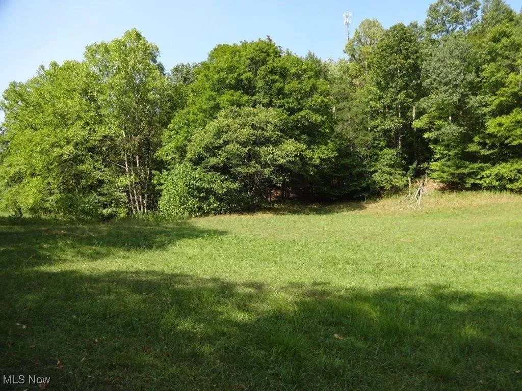 Blown Timber, Newton, West Virginia,MLS Now Listing ID