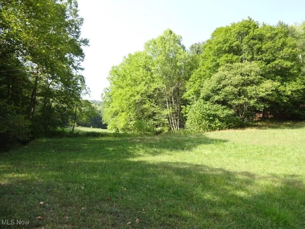 Blown Timber, Newton, West Virginia,MLS Now Listing ID