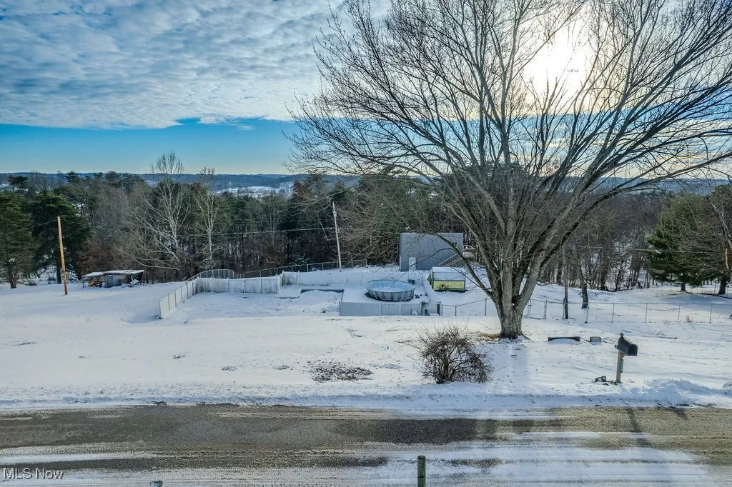 View of snowy yard