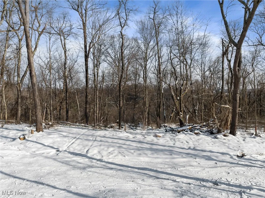TBD Yellow Wood Drive, Wheeling, West Virginia,MLS Now Listing ID