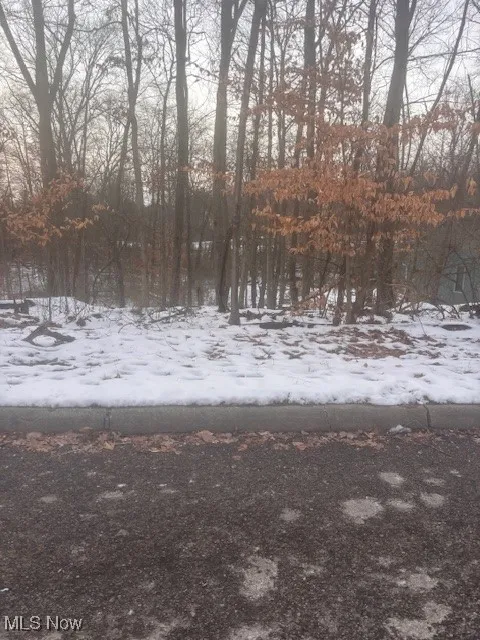 View of snowy yard