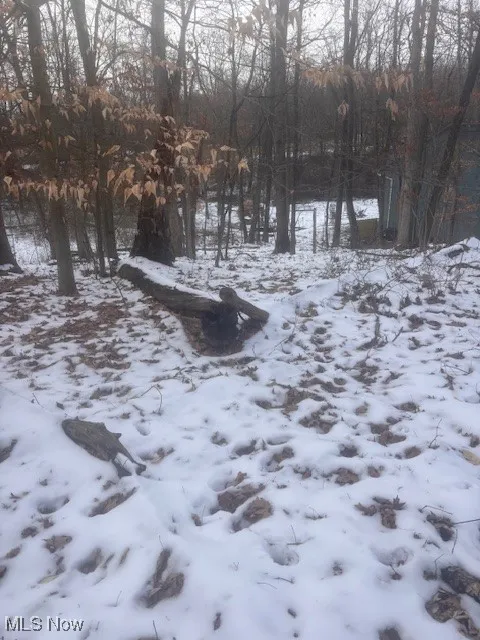 View of snowy yard