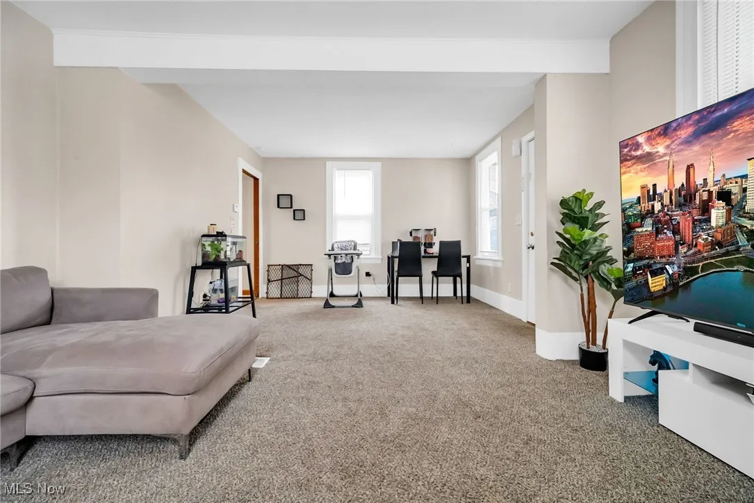 Living area featuring carpet and baseboards