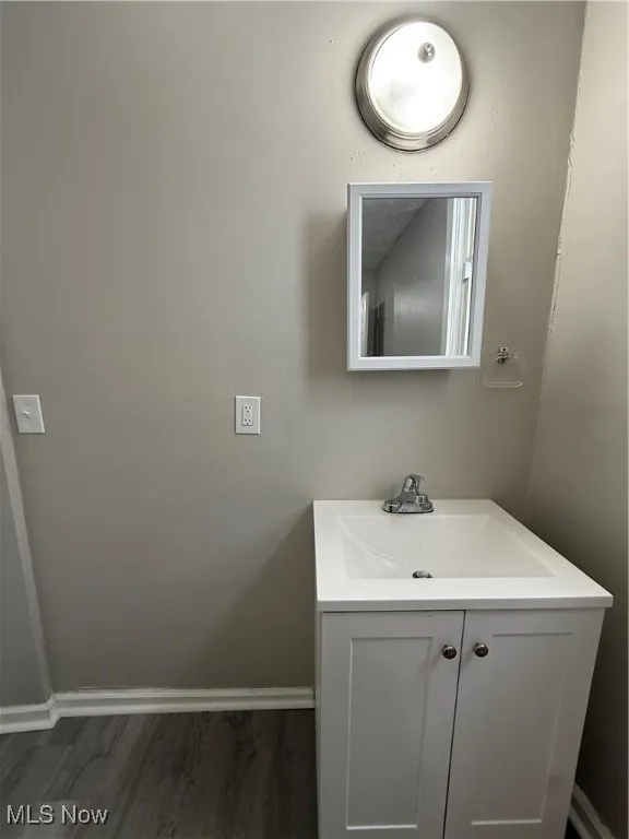 Bathroom featuring wood-type flooring and vanity