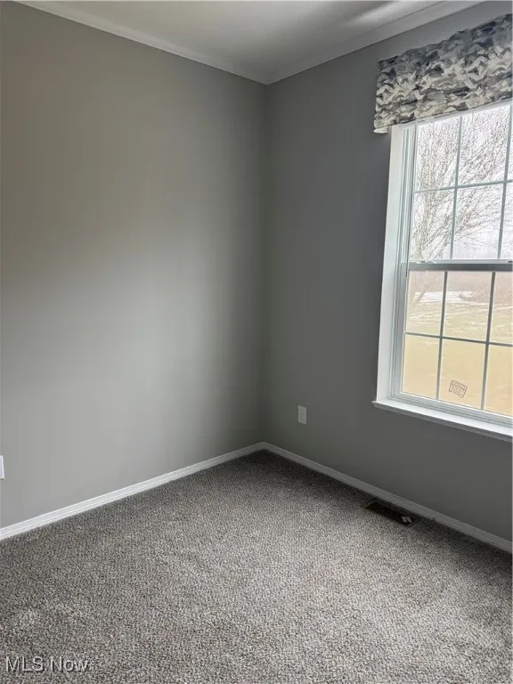 Spare room featuring ornamental molding and carpet floors
