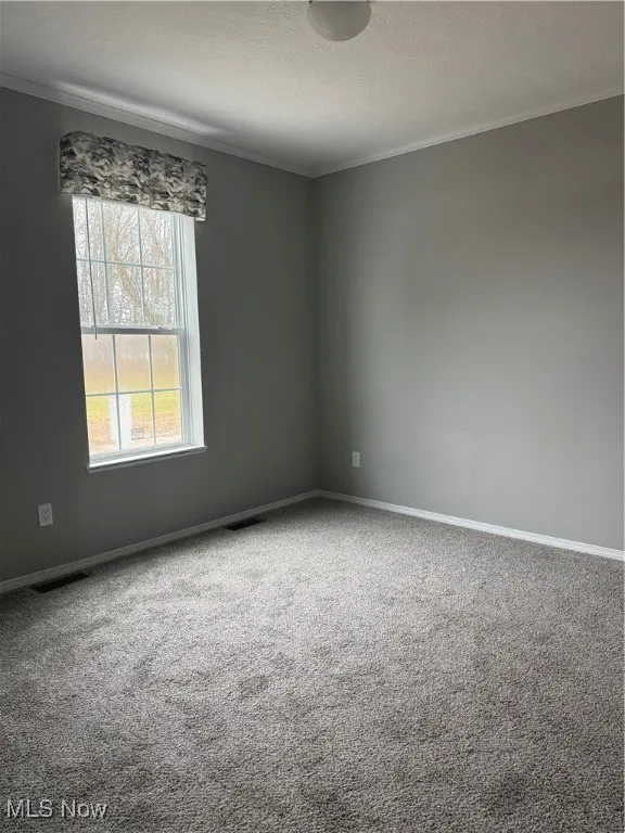 Empty room featuring ornamental molding, carpet flooring, and a textured ceiling