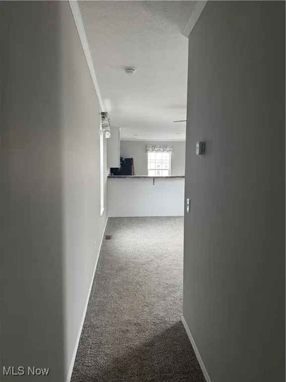 Hall featuring ornamental molding, carpet floors, and a textured ceiling