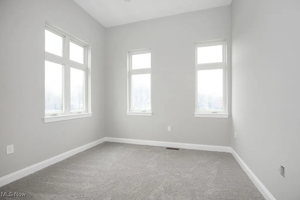 Unfurnished room featuring carpet flooring and a wealth of natural light