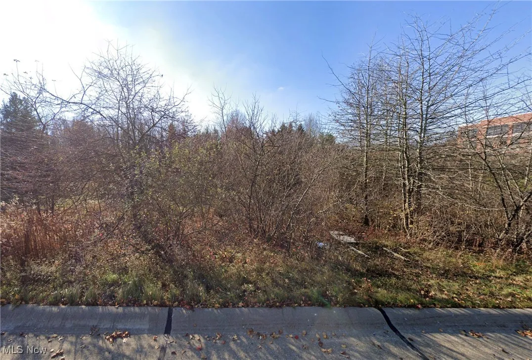 Kumho Drive, Fairlawn, Ohio,MLS Now Listing ID