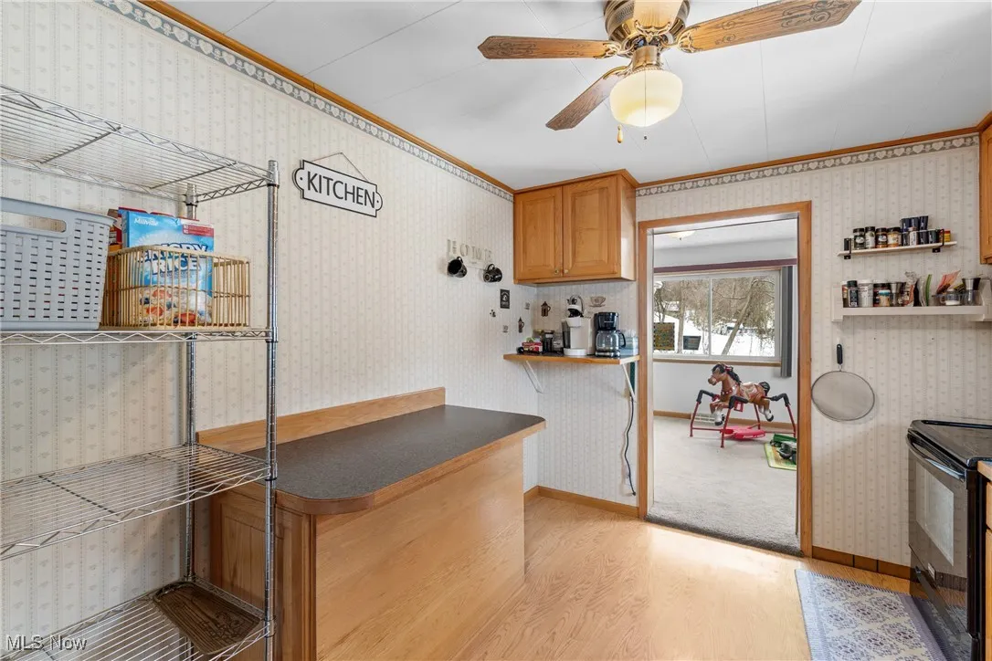 Kitchen with ornamental molding, light hardwood / wood-style flooring, ceiling fan, and black / electric stove