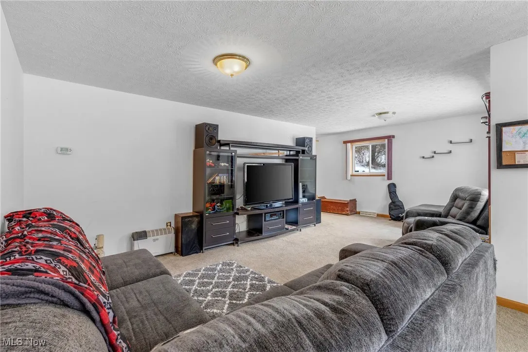 Living room featuring light carpet and a textured ceiling