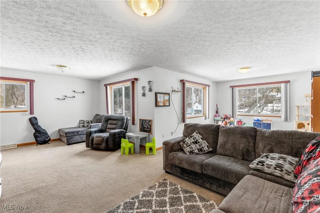 Living room featuring carpet floors and a textured ceiling