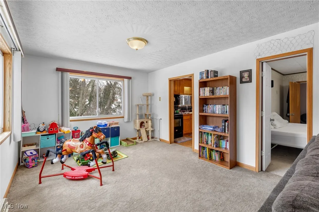 Rec room with light carpet and a textured ceiling