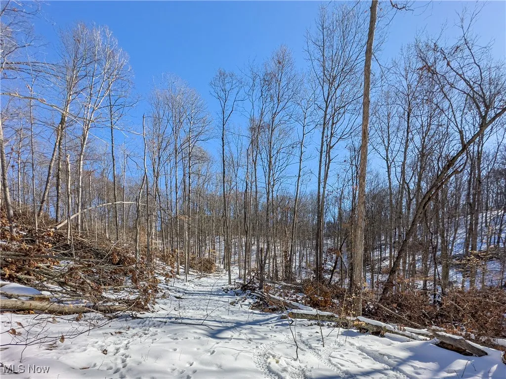 44883 Bondi Ridge Road, Woodsfield, Ohio,MLS Now Listing ID