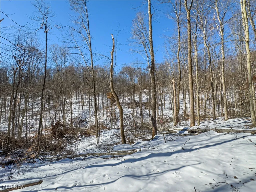 44883 Bondi Ridge Road, Woodsfield, Ohio,MLS Now Listing ID
