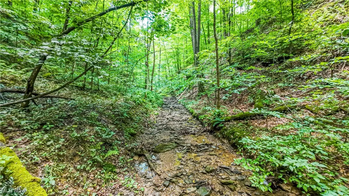 44883 Bondi Ridge Road, Woodsfield, Ohio,MLS Now Listing ID