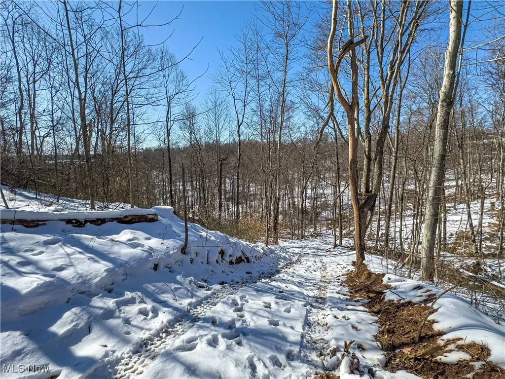 44883 Bondi Ridge Road, Woodsfield, Ohio,MLS Now Listing ID