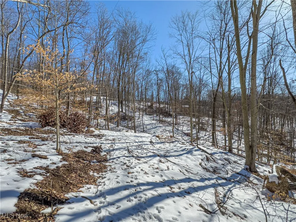 44883 Bondi Ridge Road, Woodsfield, Ohio,MLS Now Listing ID