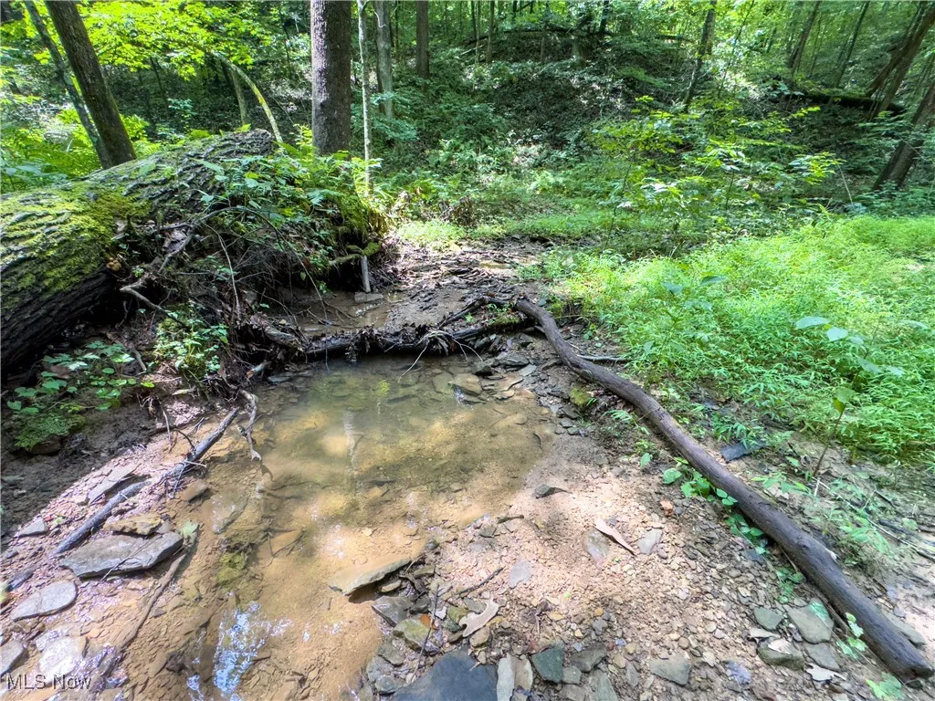 44883 Bondi Ridge Road, Woodsfield, Ohio,MLS Now Listing ID
