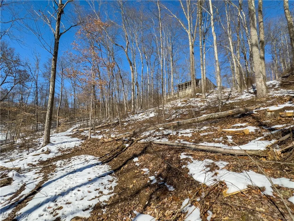 44883 Bondi Ridge Road, Woodsfield, Ohio,MLS Now Listing ID