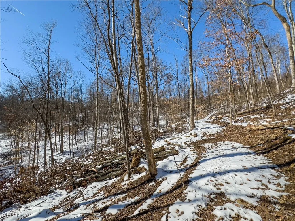 44883 Bondi Ridge Road, Woodsfield, Ohio,MLS Now Listing ID