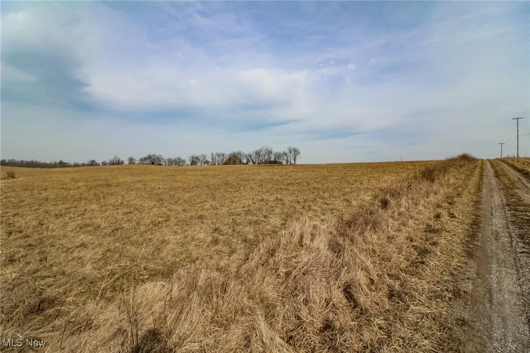 View of local wilderness with a rural view