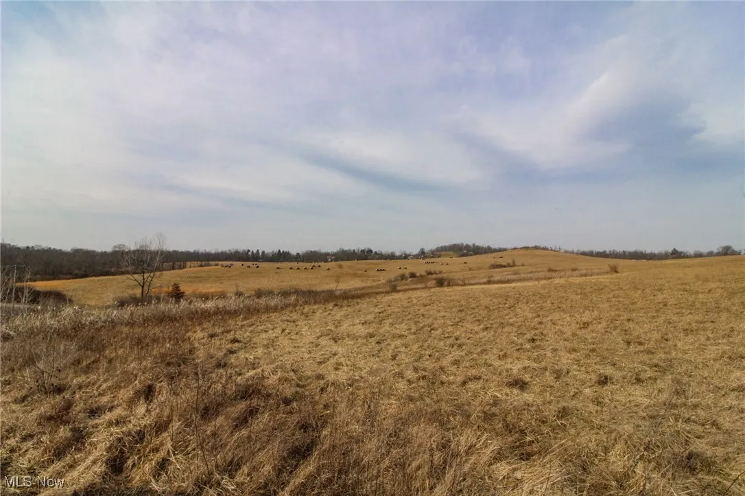 View of landscape featuring a rural view