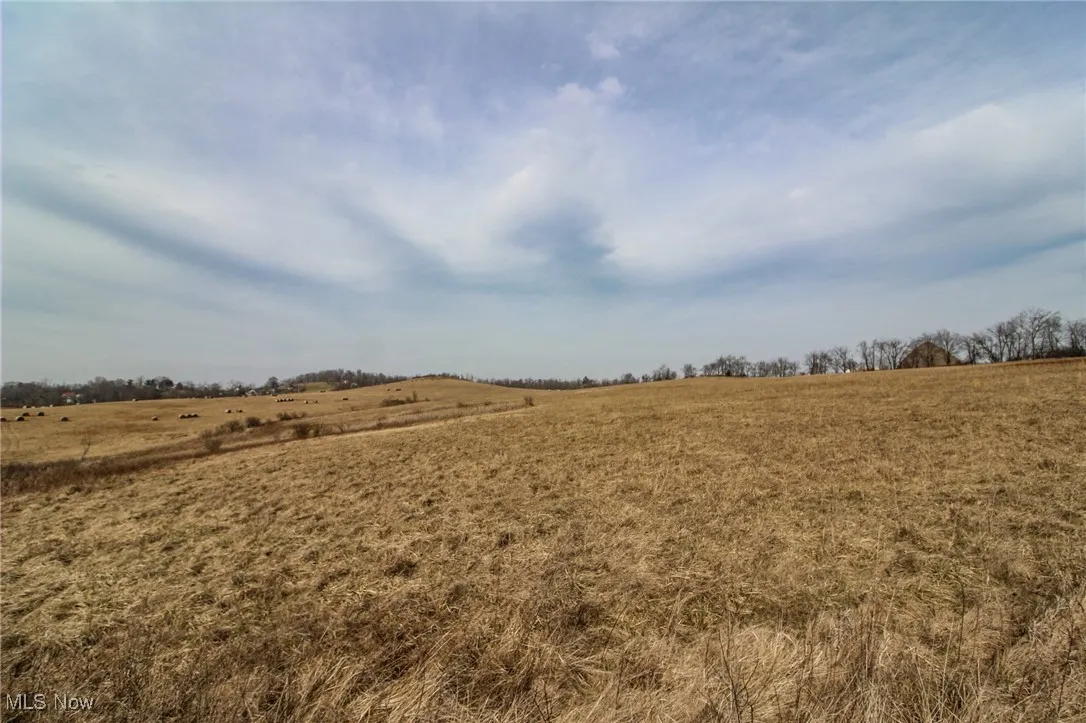 View of local wilderness with a rural view
